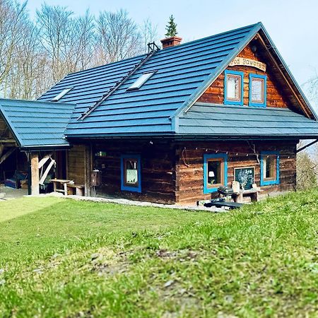 Chata Pod Jaworem Weichsel Exterior foto